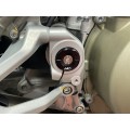 AEM FACTORY - DUCATI PANIGALE / STREETFIGHTER V4 FRAME PLUG KIT PLUS TITANIUM ENGINE / FRAME BOLTS AEM FACTORY - DUCATI PANIGALE / STREETFIGHTER V4 FRAME PLUG KIT PLUS TITANIUM ENGINE / FRAME BOLTS